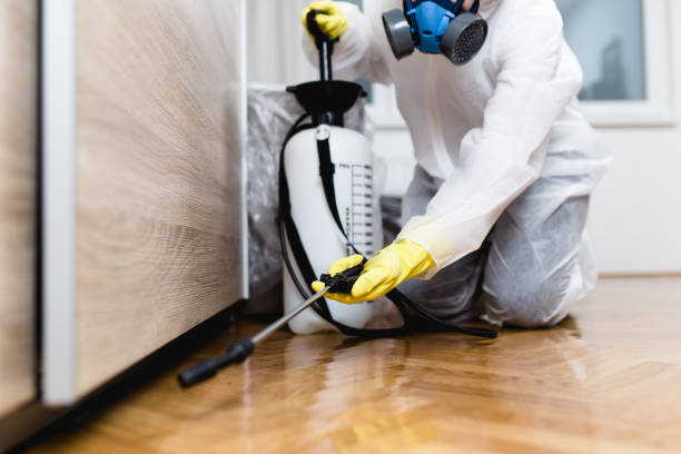Best Wildlife Control Services  in Lindsay, OK