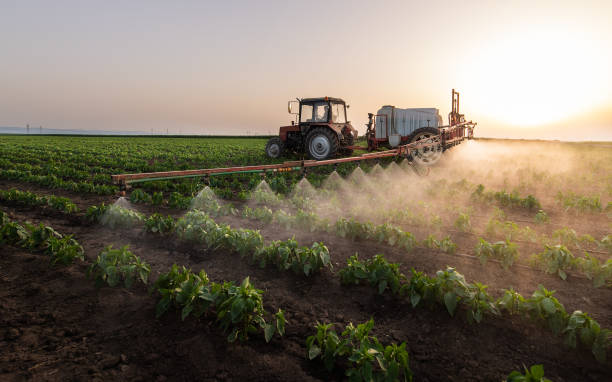 Best Commercial Pest Control Services  in Lindsay, OK