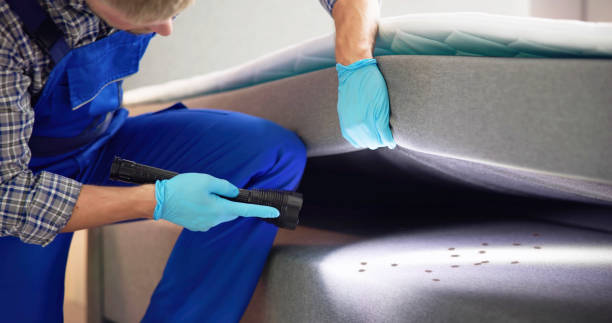 Best Best Pest Control Companies  in Lindsay, OK