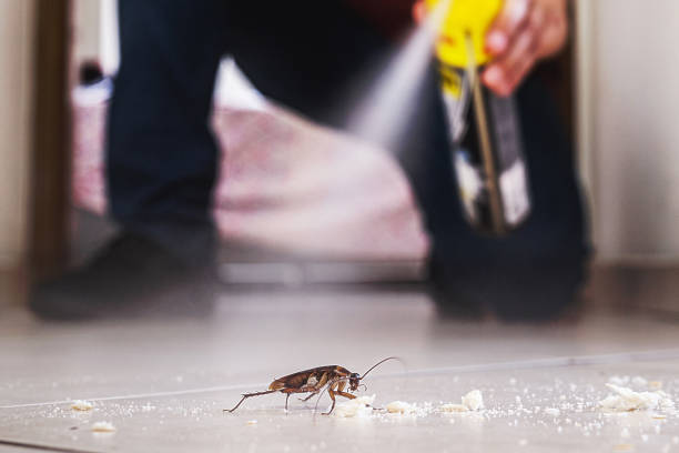 Best Insect Control  in Lindsay, OK
