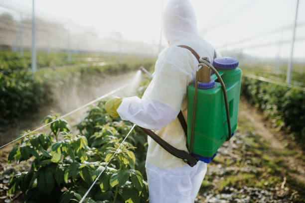 Reliable Lindsay, OK Pest Control Solutions